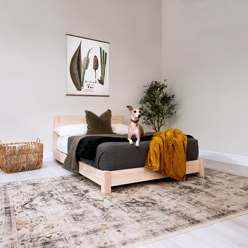 Model 04 - Low Wooden Bed - Solid Pine - White Finish