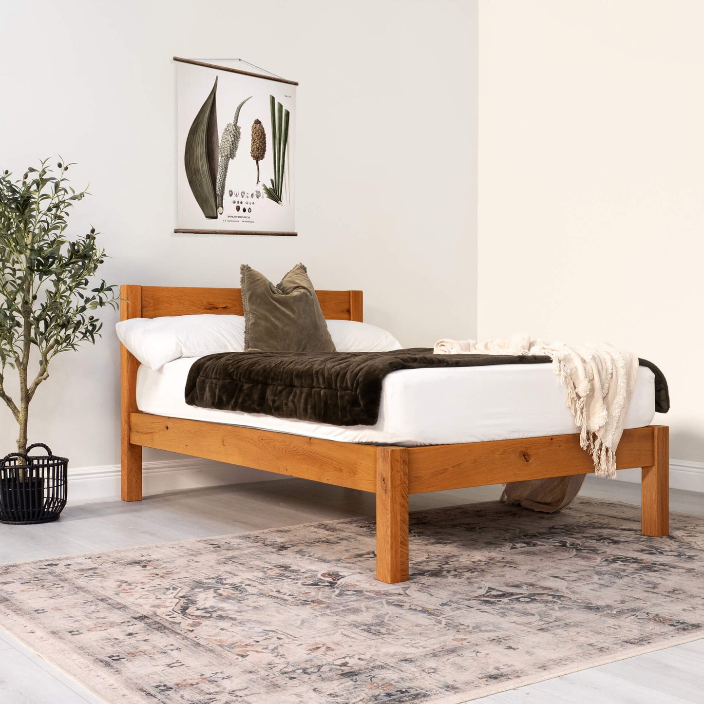 Solid Oak - Medium