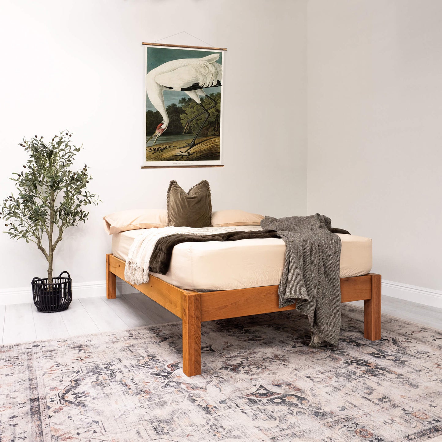 Solid Oak - Medium