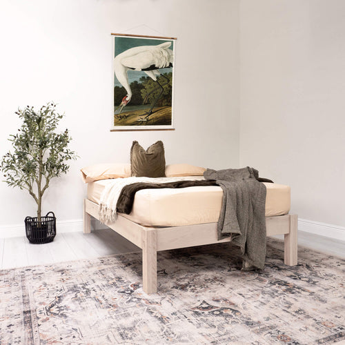 Solid Oak - White