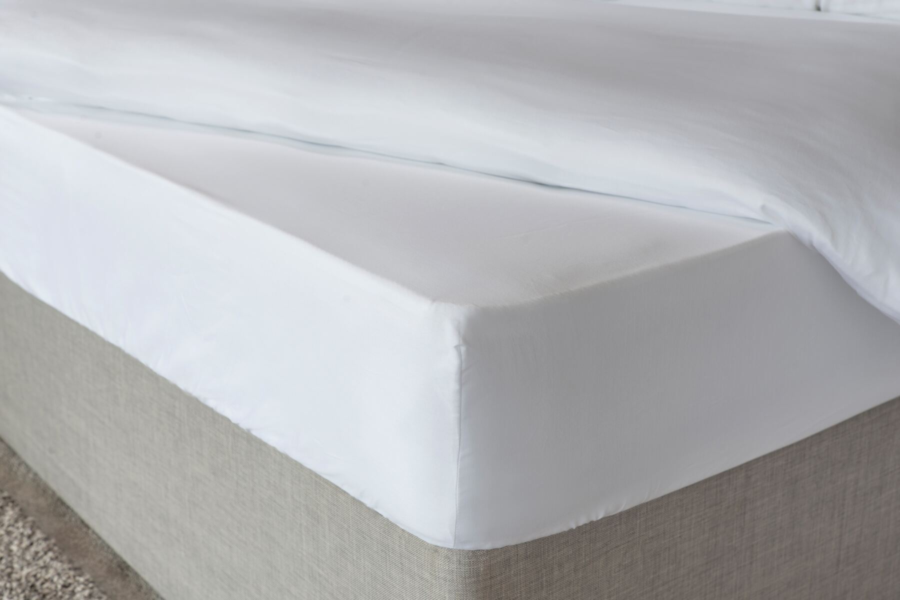 Fitted Sheet