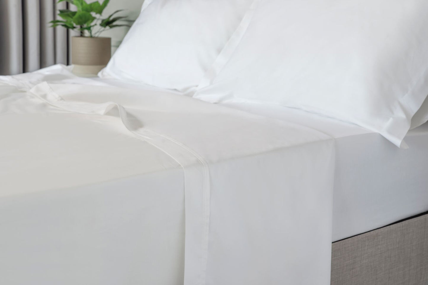 500 Premium Blend Flat Sheet
