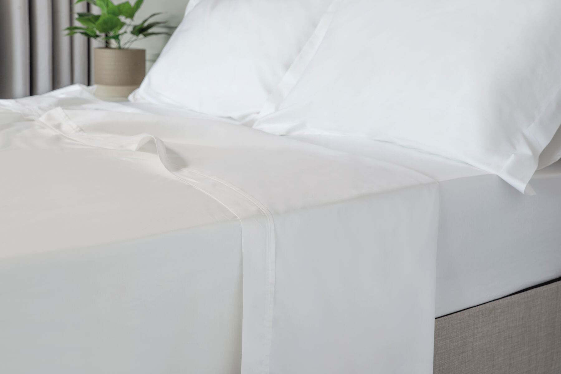 500 Premium Blend Flat Sheet