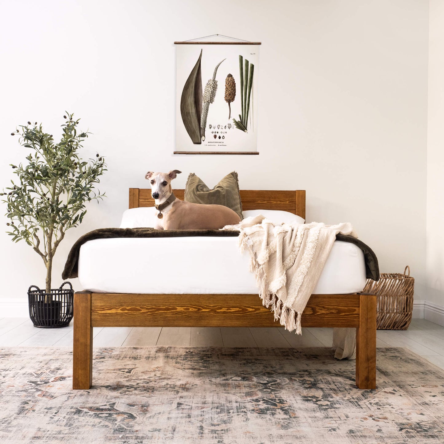 Model 01 - Handmade Wooden Bed - Pine - Walnut Finish