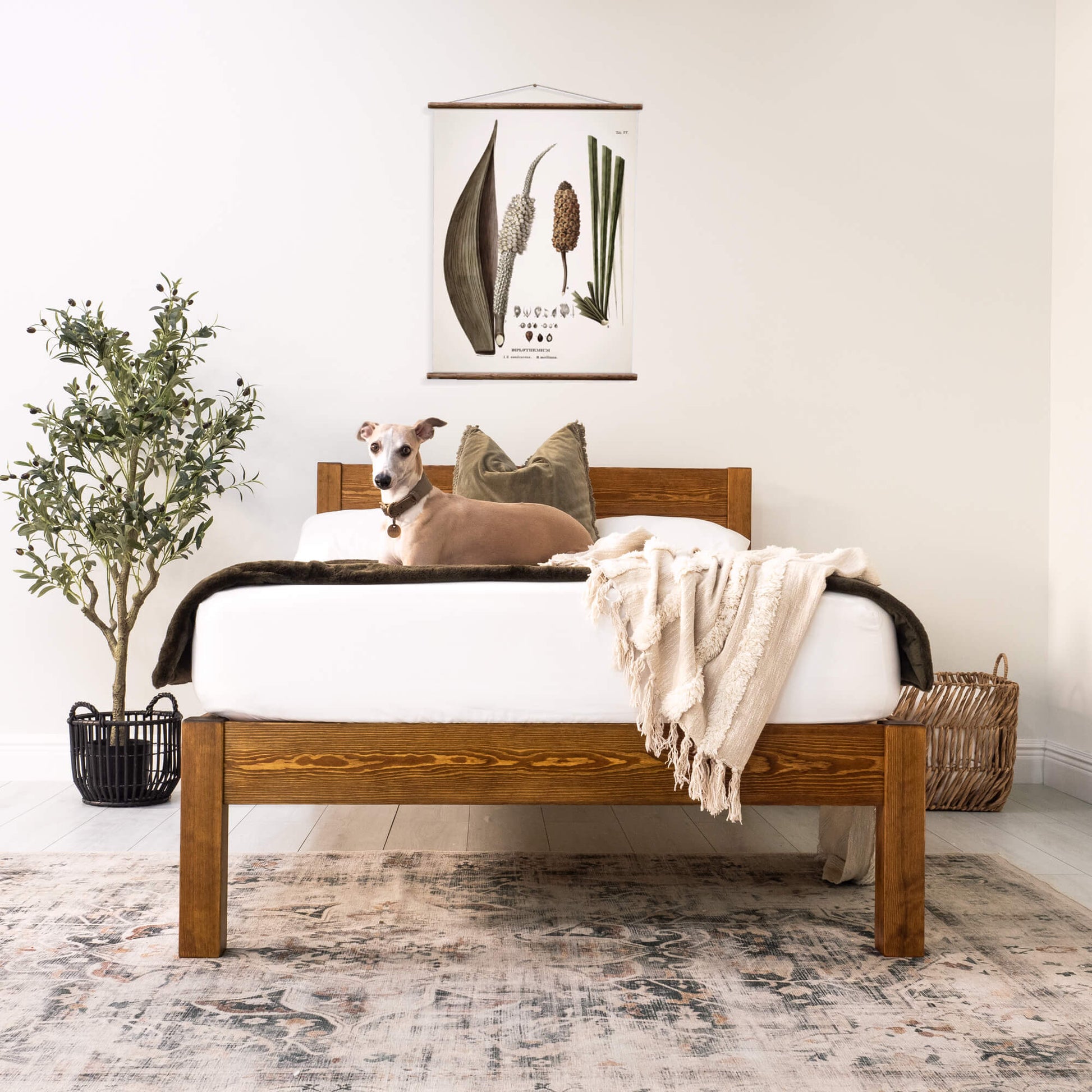 Model 01 - Handmade Wooden Bed - Pine - Walnut Finish