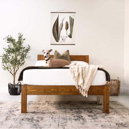 Model 01 - Handmade Wooden Bed - Pine - Walnut Finish