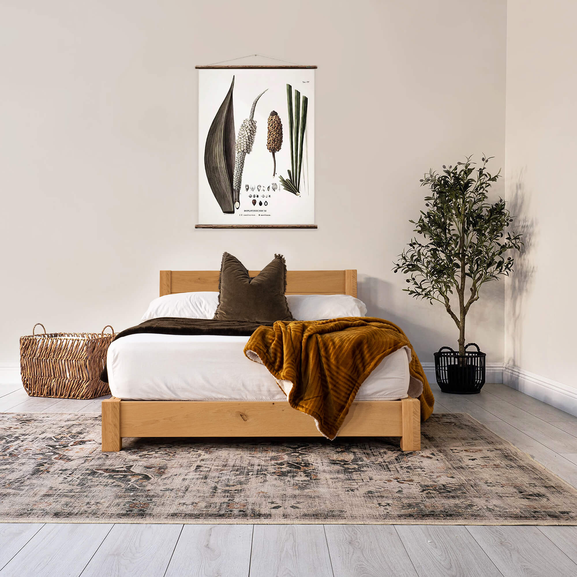 Solid Oak - Light/Clear