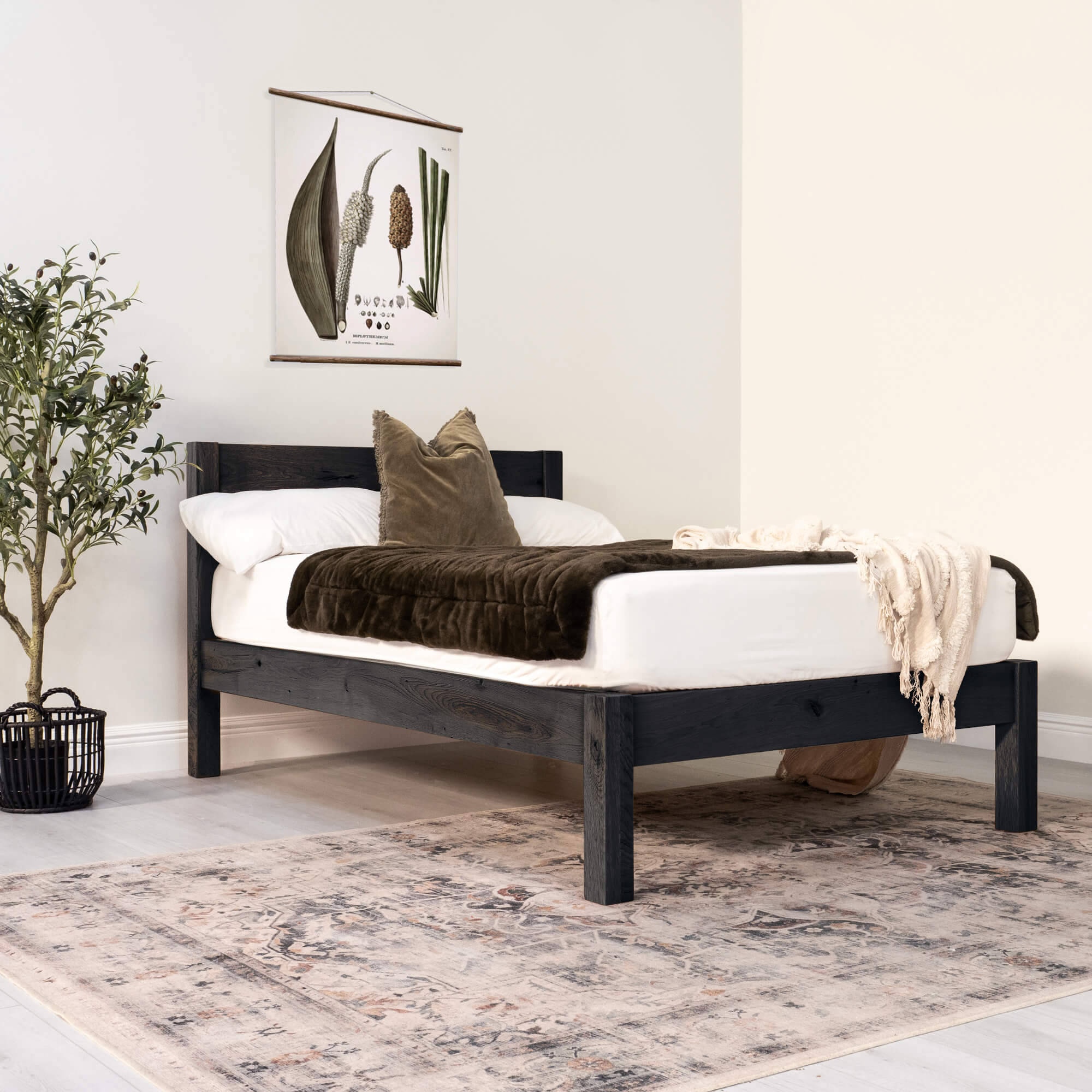 Solid Oak - Black