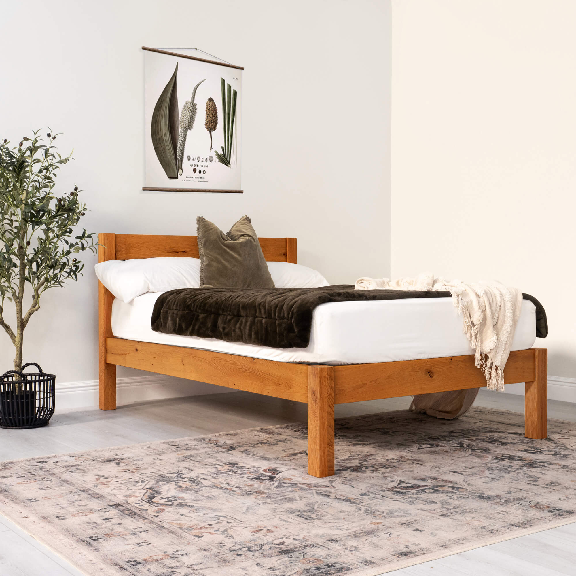 Solid Oak - Medium